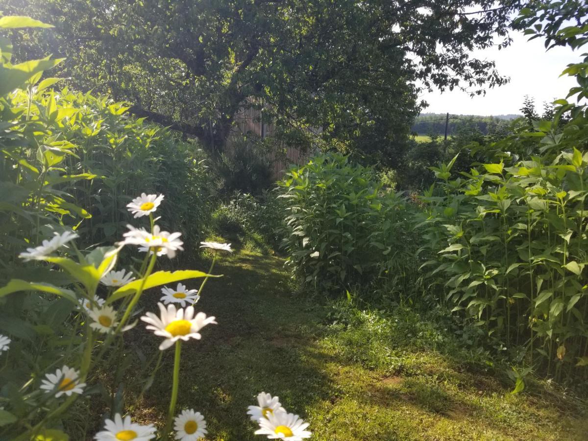 Le Petit Paradis, Mini Maison,Nature,Confort,Calme Saint-Julien-le-Petit エクステリア 写真