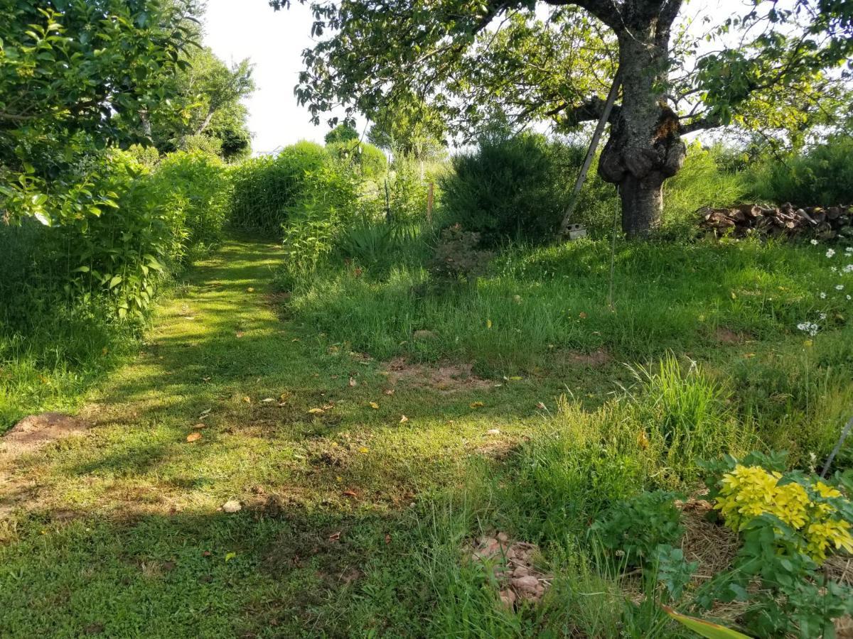Le Petit Paradis, Mini Maison,Nature,Confort,Calme Saint-Julien-le-Petit エクステリア 写真