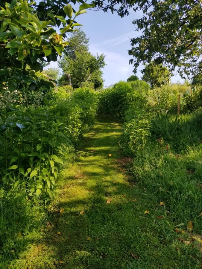 Le Petit Paradis, Mini Maison,Nature,Confort,Calme Saint-Julien-le-Petit エクステリア 写真