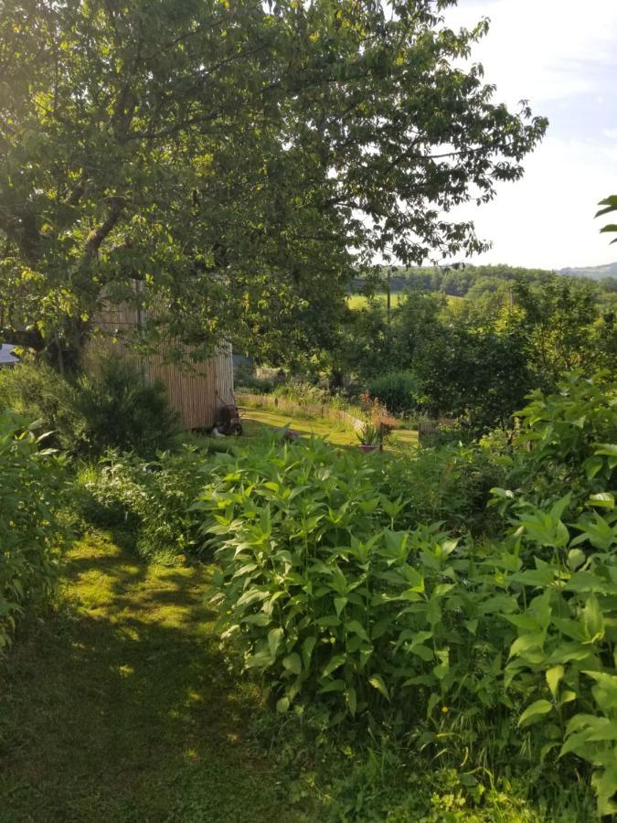 Le Petit Paradis, Mini Maison,Nature,Confort,Calme Saint-Julien-le-Petit エクステリア 写真